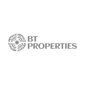 B1 properties